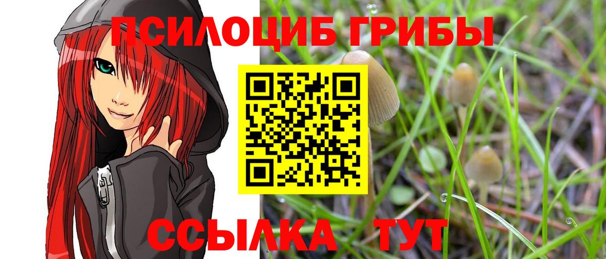 Уссурийск  магазин    Вход с VPN  Галлюциногенные грибы Cubensis  Галлюциногенные грибы GOLDEN TEACHER 