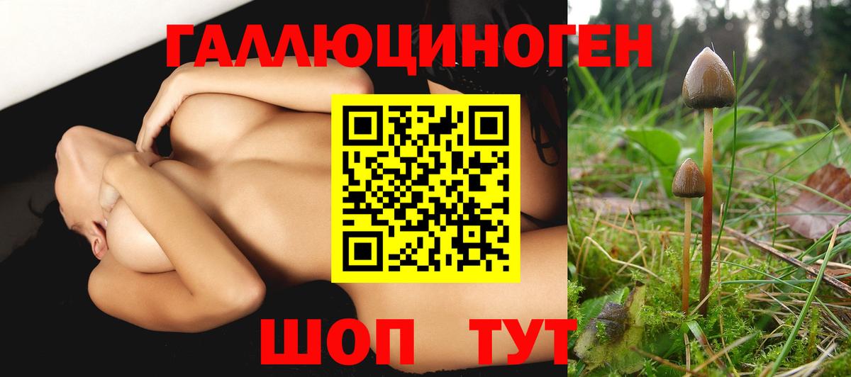 Псилоцибиновые грибы Magic Shrooms Уссурийск